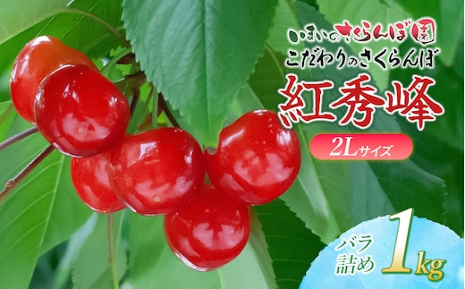 【令和9年産先行予約】 こだわりのさくらんぼ「紅秀峰」(2Lサイズ以上) バラ詰め 1kg（500g×2) いまいのさくらんぼ園 K-969