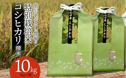【令和7年産】【新米】 黒川まるいし農場の特別栽培米 コシヒカリ 10kg (5kg×2) 山形県鶴岡市産 K-784