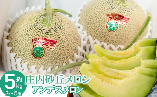 【令和8年産先行予約】菅原農園の庄内砂丘メロン 約5kg （3玉～5玉） アンデス メロン 【7月下旬～8月上旬】 k-839 菅原農園 鶴岡地区物産協同組合