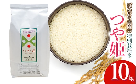 【令和7年産】【新米】 ばんどう農園の特別栽培米つや姫 白米10kg 山形県鶴岡市産 K-784