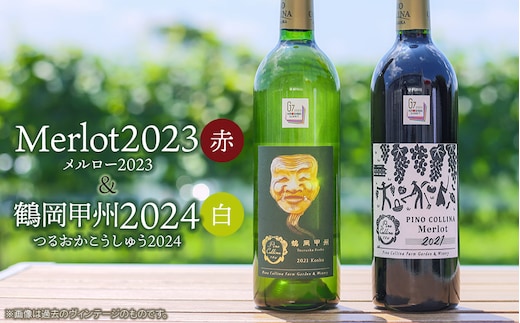 ワイン 「メルロー2023（赤）」「鶴岡甲州2024（白）」750ml×2本入 株式会社エルサン 国産 日本ワイン