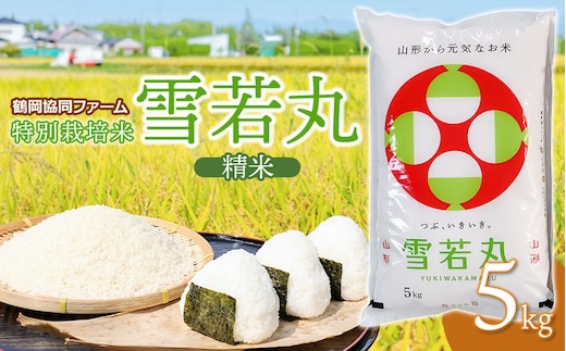 【令和7年産】【新米】 特別栽培米雪若丸 5kg (5kg×1袋) 山形県鶴岡産 鶴岡協同ファーム