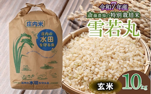 【令和7年産】【新米】斎藤農場の特別栽培米 雪若丸 玄米 10kg 山形県鶴岡市 [K-7117]