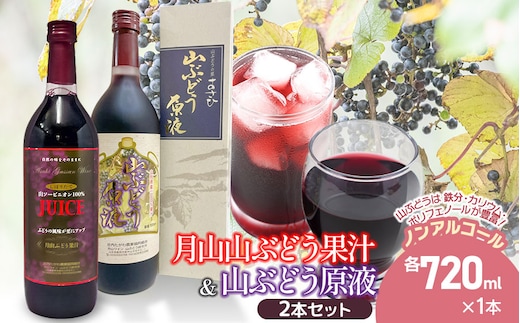 月山山ぶどう果汁・原液セット 各720ml×1本 山形県鶴岡市 庄内観光物産館事業部 | ぶどう 果汁 ブドウジュース 果汁100% 果汁飲料 飲料 飲み物 セット ジュース 果汁 山ぶどう 山形県 鶴岡市 返礼品