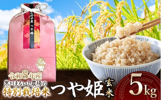 【令和8年産】 黒川まるいし農場の特別栽培米 つや姫 玄米 5kg 山形県鶴岡市産 K-837 | つやひめ 5キロ 米どころ 庄内米 ブランド米 米 コメ こめ 玄米 ご飯 ごはん 美味しい お取り寄せ 農家直送 東北 国産 おすすめ 人気 返礼品 2026年産