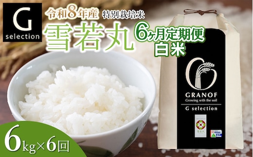 【令和8年産先行予約】【定期便6ヶ月】 特別栽培米 Gセレクション 雪若丸 【白米】6kg (6kg×1袋)×6ヶ月 山形県鶴岡市産 株式会社グラノフ