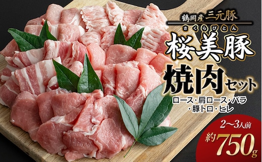 鶴岡産三元豚「桜美豚」焼肉用セット（ロース・肩ロース・バラ・豚トロ・ヒレ）約750g（2～3人前） K-736 豚肉 長南牛肉店