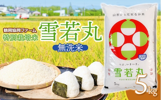 【令和7年産】【新米】 特別栽培米雪若丸 無洗米 5kg (5kg×1袋) 山形県鶴岡産 鶴岡協同ファーム