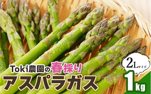 【令和8年産先行予約】 春採りアスパラガス 2Lサイズ 1kg 山形県鶴岡産 Toki農園