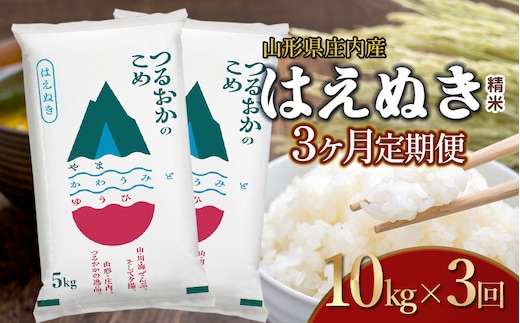【令和7年産】【3ヶ月定期便】はえぬき 精米 10kg×3回 計30kg 山形県 庄内産 米食味鑑定士お薦め 
