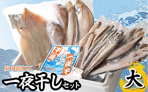 庄内浜加工 一夜干しセット（大） 鶴岡魚類株式会社 K-754