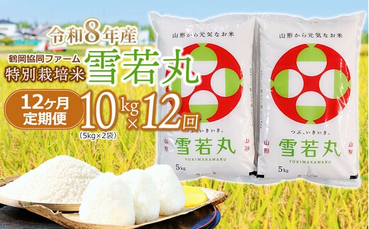 【令和8年産 新米】 特別栽培米雪若丸 精米 10kg (5kg×2袋) ×12ヶ月【定期便】 山形県鶴岡産 鶴岡協同ファーム