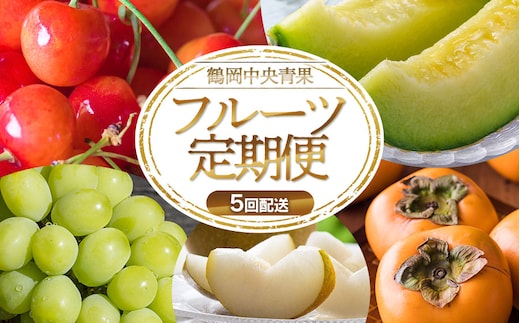 【令和8年産先行予約】 フルーツの定期便【5回お届け】 山形県鶴岡市 鶴岡中央青果 | 果物定期便 果物 くだもの フルーツ サクランボ メロン 梨 シャインマスカット 庄内柿 旬 2026年産 人気 美味しい お取り寄せ 返礼品
