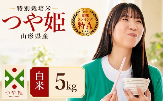 【令和7年産】 特別栽培米 つや姫 精米 5kg (5kg×1袋) 山形県産 | つやひめ 5キロ 米 お米 コメ 白米 食品 ご飯 ごはん 美味しい おいしい ブランド米 エコ包装 おすすめ 人気 山形県 鶴岡市 東北 国産 お取り寄せ SDGs未来都市鶴岡 返礼品