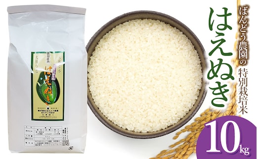 【令和7年産】【新米】 ばんどう農園の特別栽培米はえぬき 白米10kg 山形県鶴岡市産 K-781