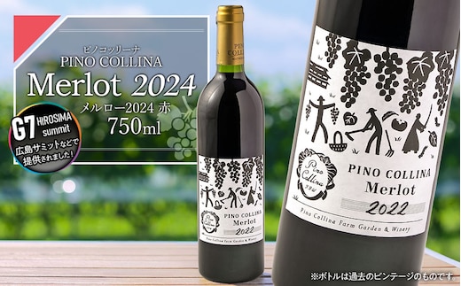 ピノ・コッリーナ メルロー 2024（赤） | 赤ワイン Melrot PINO COLLINA 株式会社エルサン