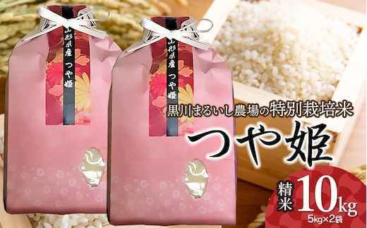 【令和7年産】【新米】 黒川まるいし農場の特別栽培米 つや姫 10kg(5kg×2袋) 山形県鶴岡市産 K-790