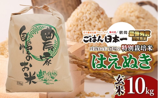 【令和7年産先行予約】庄内おばこ農場の特別栽培米 はえぬき【玄米】10kg（10kg×1袋） K-784
