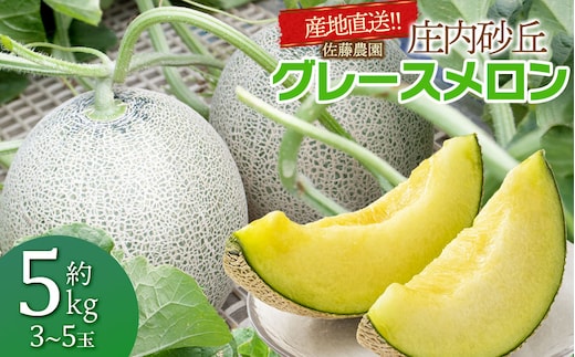 【令和8年産先行予約】産地直送！ 庄内砂丘グレースメロン 約5kg (3～5玉) 佐藤農園 K-835