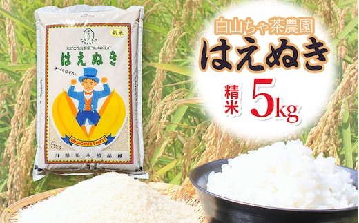 【令和8年産先行予約】白山ちゃ茶農園のはえぬき 精米5kg(5kg×1袋) K-835 山形県鶴岡市 | 5キロ はえぬき 白米 精米 米 お米 おこめ コメ こめ 食品 ご飯 ごはん おいしい 山形県 鶴岡市 東北 国産 返礼品