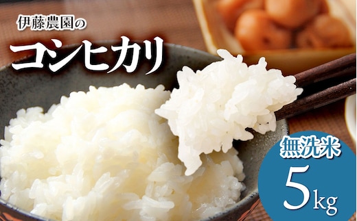 【令和7年産】【新米】コシヒカリ 無洗米5kg 伊藤農園