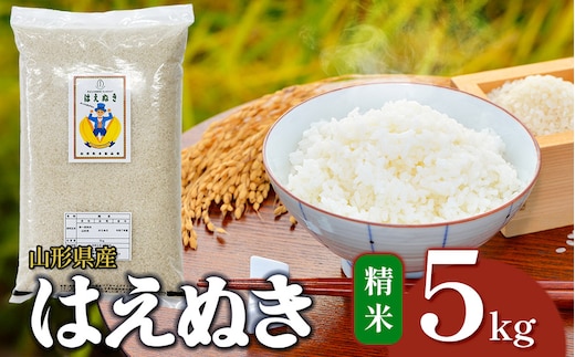 【令和7年産】 はえぬき 精米 5kg 山形県産 | 5キロ お米 コメ 白米 食品 ご飯 ごはん 美味しい おいしい ブランド米 エコ包装 おすすめ 人気 山形県 鶴岡市 東北 国産 お取り寄せ SDGs未来都市鶴岡 返礼品