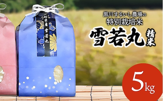 【令和7年産】【新米】 黒川まるいし農場の特別栽培米 雪若丸 5kg 山形県鶴岡市産 K-745