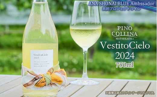 白ワイン Vestito Cielo 2024 750ml×1本 株式会社エルサン 国産 日本ワイン