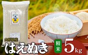 【令和7年産】 はえぬき 精米 5kg 山形県産 | 5キロ お米 コメ 白米 食品 ご飯 ごはん 美味しい おいしい ブランド米 エコ包装 おすすめ 人気 山形県 鶴岡市 東北 国産 お取り寄せ SDGs未来都市鶴岡 返礼品