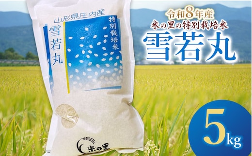 【令和8年産】 米の里の特別栽培米 雪若丸 精米 5kg 山形県鶴岡市産 | 白米 特栽 ブランド米 庄内 2026年産 K-845