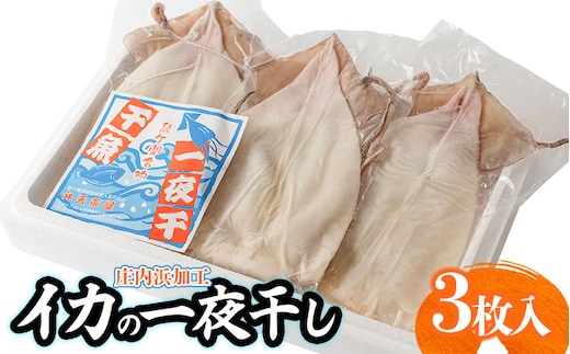 庄内浜加工 イカ一夜干し 3枚 鶴岡魚類株式会社 K-747