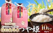【令和8年産】 黒川まるいし農場の特別栽培米 つや姫 10kg(5kg×2袋)　山形県鶴岡市産　K-881　| つやひめ 10キロ 米どころ 庄内米 ブランド米 コメ こめ 精米 ご飯 ごはん 美味しい お取り寄せ 農家直送 東北 国産 おすすめ 人気 返礼品