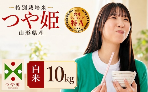 【令和7年産】 特別栽培米 つや姫 精米 10kg (5kg×2袋) 山形県産 | つやひめ 10キロ 米 お米 コメ 白米 食品 ご飯 ごはん 美味しい おいしい ブランド米 エコ包装 おすすめ 人気 山形県 鶴岡市 東北 国産 お取り寄せ SDGs未来都市鶴岡 返礼品