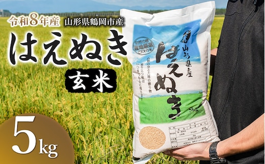 【令和8年産 新米】馬町さくらファームのはえぬき 玄米 5kg（5kg×1袋） 山形県鶴岡市 K-826 | 米 お米 コメ こめ 5キロ ご飯 ごはん ブランド米 米どころ 庄内米 国産 美味しい おいしい お取り寄せ 農家直送 お弁当 おにぎり おすすめ 人気 返礼品