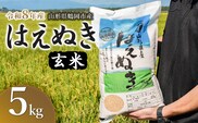 【令和8年産 新米】馬町さくらファームのはえぬき 玄米 5kg（5kg×1袋）　山形県鶴岡市 K-826 | 米 お米 コメ こめ 5キロ ご飯 ごはん ブランド米 米どころ 庄内米 国産 美味しい おいしい お取り寄せ 農家直送 お弁当 おにぎり おすすめ 人気 返礼品
