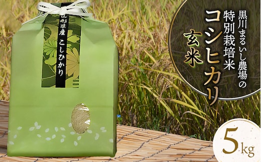 【令和7年産】【新米】 黒川まるいし農場の特別栽培米コシヒカリ玄米 5kg 山形県鶴岡市産 K-740