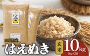 【令和7年産】 はえぬき 玄米 10kg（5kg×2袋） 山形県産 | 10キロ お米 コメ 食品 ご飯 ごはん 美味しい おいしい ブランド米 エコ包装 おすすめ 人気 山形県 鶴岡市 東北 国産 お取り寄せ SDGs未来都市鶴岡 返礼品