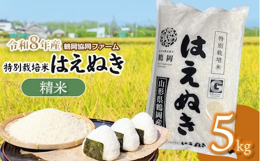 【令和8年産 新米】特別栽培米はえぬき 精米5kg (5kg×1袋) 山形県鶴岡産 鶴岡協同ファーム