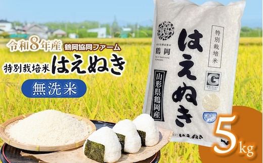 【令和8年産先行予約】 特別栽培米はえぬき 無洗米 5kg (5kg×1袋) 山形県鶴岡産 鶴岡協同ファーム
