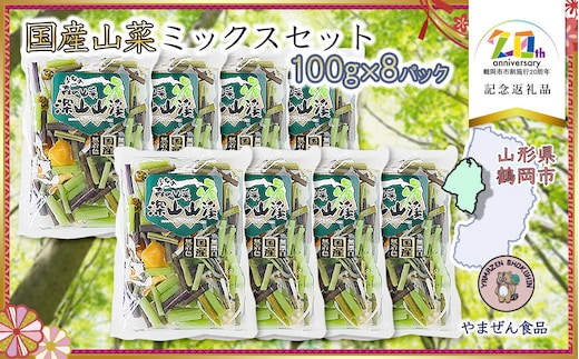 国産山菜ミックスセット（100g × 8パック） 【市制施行20周年記念返礼品】 やまぜん食品 K-730