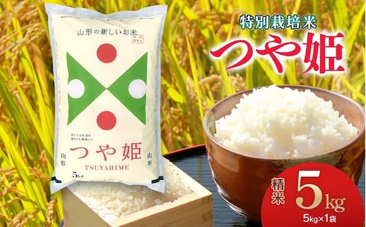 【令和7年産】 特別栽培米 つや姫 精米5kg 山形県 庄内産 米食味鑑定士お薦め