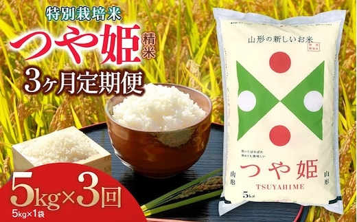 【令和7年産】【3ヶ月定期便】特別栽培米 つや姫 精米5kg×3回 計15kg 山形県 庄内産 米食味鑑定士お薦め