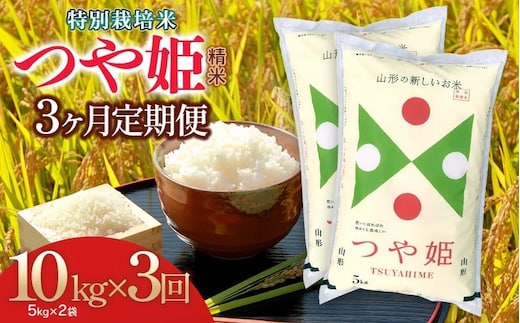 【令和7年産】【3ヶ月定期便】特別栽培米 つや姫 精米10kg×3回 計30kg 山形県 庄内産 米食味鑑定士お薦め