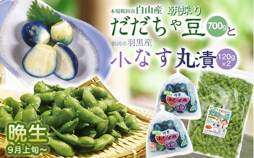 令和8年産 朝採りだだちゃ豆（晩生）700gと小なす丸漬240g（120g×2）セット 庄内観光物産館 | 枝豆 茄子 ナス 漬物 酢漬け 柿酢 特産品 生鮮 野菜 ごはんのお供
