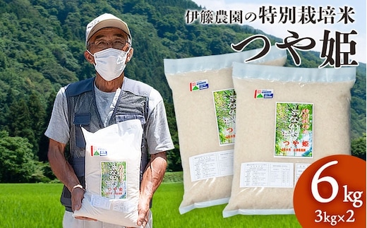 【令和7年産】特別栽培米 つや姫 6kg（3kg×2袋） 山形県 鶴岡市 伊藤農園（伊藤嘉吉）