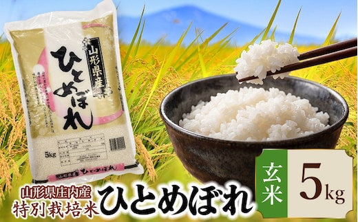 【令和7年産】 特別栽培米 ひとめぼれ 玄米 5kg (5kg×1袋) 山形県 庄内産 | 5キロ 米 お米 コメ 食品 ご飯 ごはん 美味しい おいしい ブランド米 庄内米 エコ包装 おすすめ 人気 山形県 鶴岡市 東北 国産 お取り寄せ SDGs未来都市鶴岡 返礼品