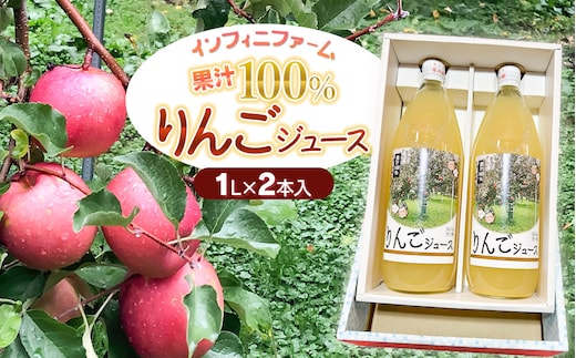 100％果汁 りんごジュース1L×2本入 インフィニファーム K-624