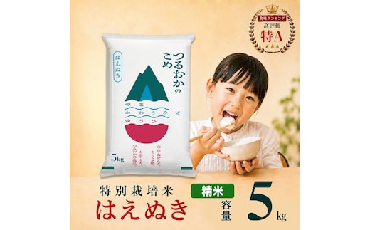 【令和7年産】 特別栽培米 はえぬき 精米 5kg (5kg×1袋) 山形県 庄内産 | 5キロ 米 お米 コメ 白米 食品 ご飯 ごはん 美味しい おいしい ブランド米 庄内米 エコ包装 おすすめ 人気 山形県 鶴岡市 東北 国産 お取り寄せ SDGs未来都市鶴岡 返礼品