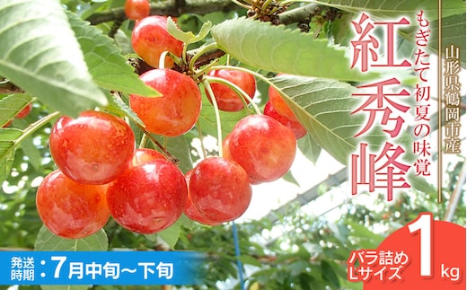 【令和8年産先行予約】紅秀峰 バラ詰め Lサイズ 1kg もぎたて「初夏の味覚」さくらんぼ 丸忠農園