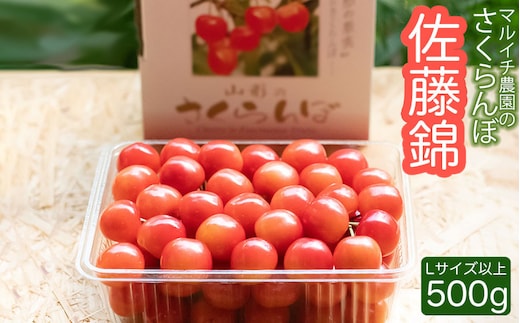 【令和8年産先行予約】さくらんぼ 佐藤錦 500g（ Lサイズ以上） マルイチ農園
